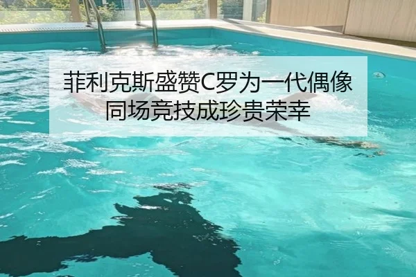 菲利克斯盛赞C罗为一代偶像 同场竞技成珍贵荣幸